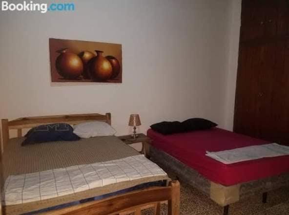 Casa Lucys Hostal Granada Ngoại thất bức ảnh